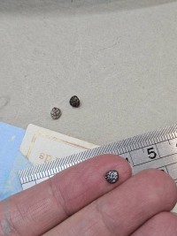 ПП-21, Металлические пуговки