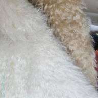 Набор для мастер-класса Заяц "Мартин" Ирины Лукановой - Набор для мастер-класса Заяц "Мартин" Ирины Лукановой