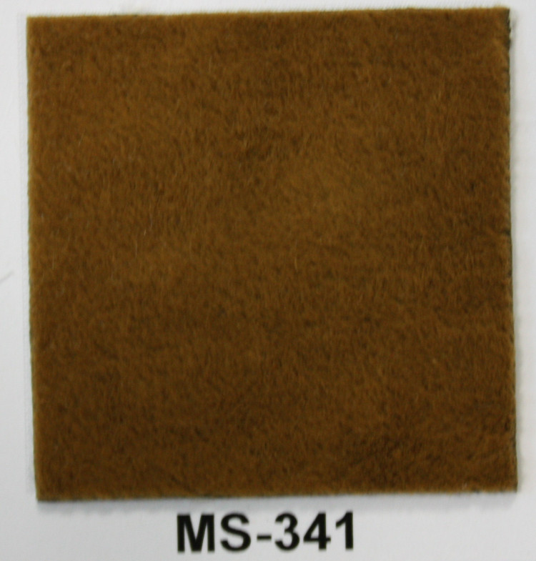 MS 341